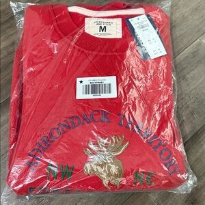 NWT Abercrombie Graphic Logo Sweatshirt